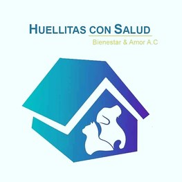 D 0e65fddb 9626 4b55 9083 3e71fff5517c