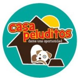 Buscafuska - Centro de adopcion: Casa Peluditos, Cadereyta, Nuevo León