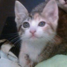 D d2574251 242a 4430 b1c7 e00d455b31cd