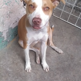 D ea522677 1ca9 4665 9ed6 e60c515d6d01