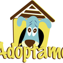 D 0281a2c9 0ade 4d09 b718 433231bc74c2