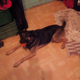 D aed2e152 adf4 4ce4 b31a 0c1c11073ff4