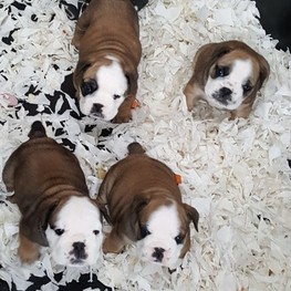 D be1d31da 1737 4a99 b7f7 7d5ca617cdf6