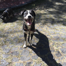 D 484efb0d 989b 47bf 8894 8e8bb9274e63