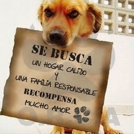 D 4abde8fc fda6 403c 9f83 be79cfbba55e