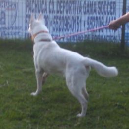 D eeb9d94f de23 44a8 a5a5 555aad3ae7fe