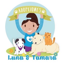 D 9b3fd8f4 4960 4829 9958 3cdaf911f301