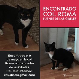 D 8a95444b 3280 4c71 ac5e ec5061543f82