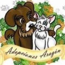 D 764ba5c7 0346 4911 9af8 aebab1d36f4c