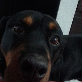 D 58c96a2e 4cce 43e5 a94d 06f903c8fb01