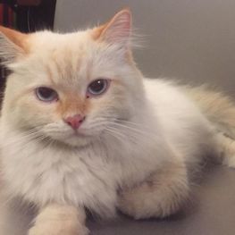 D 3f0ecd7a 2c93 4e5b b7d9 ad18e5a8d46c