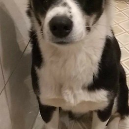 D 4f763702 51ed 42f1 a2d9 2f67339979ac