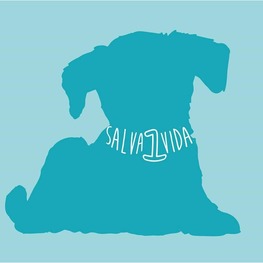 D 5594dd19 140c 4340 a51a 83d917bd49bf