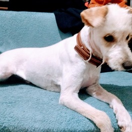 D fb750fa2 110d 48d5 9833 8551099926d8