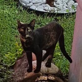 D 5d6329e2 9f01 4946 8909 650ecd3c61a0