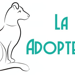 D c9dd0102 e931 42ac a9a3 fa7123a8dec4