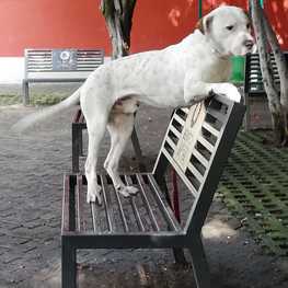 D 3f457780 9dff 4def 8684 b586115fb2f3