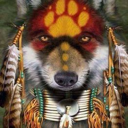 D 859d4f97 8a52 415b 951a a19d3699ac50