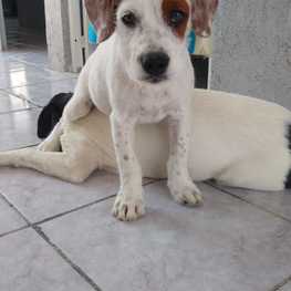 D 0b1f5b8a 2020 415a b119 95bb139f0f05