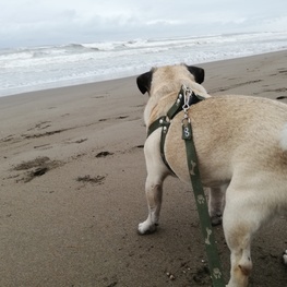 D c69d395b e7b0 48c9 8cf6 104613fadd0c