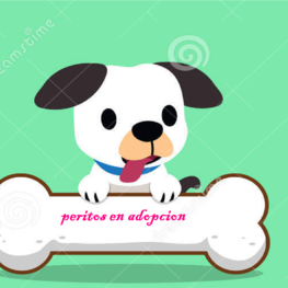 D 3204495e 4d3a 4a76 b244 1f65e3af5c80