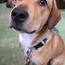 D e2d84ecb ee8b 4062 81c2 583588030502