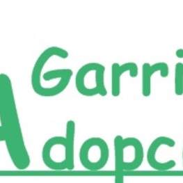 D 00d395de 81fe 4964 9574 b9abbbe040a1