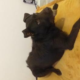 D 1b624ce1 2620 410a 8da3 ed9884cfbc14