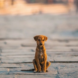 D 165f88d0 1f4b 4238 9ac7 27785c80ad5d