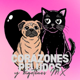 D cc3a1f41 4f95 4402 a286 281f418a4854